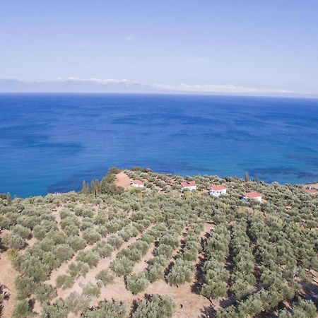 Κτήμα Παπαβασιλόπουλος 2 - Villa Koróni Exteriör bild