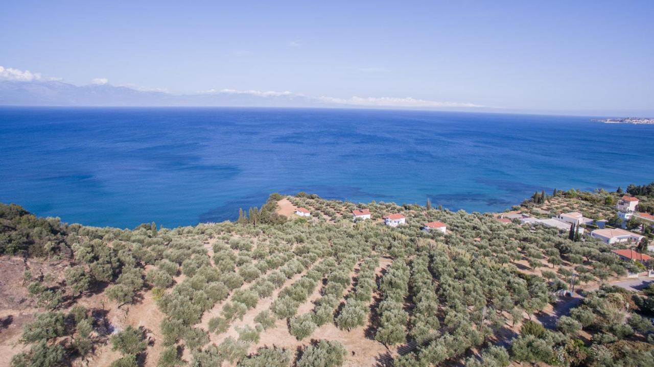 Κτήμα Παπαβασιλόπουλος 2 - Villa Koróni Exteriör bild